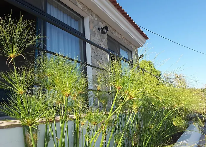 Anne Bed & Breakfastbb Bed & Breakfast Moncarapacho