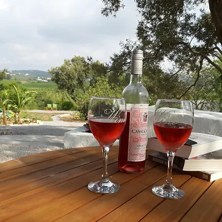 Anne Bed&breakfastbb Frühstückspension