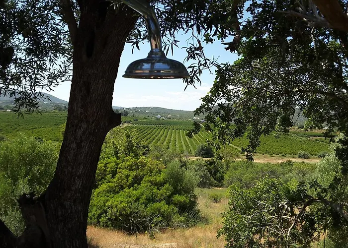 Anne Bed & Breakfastbb Couette-café